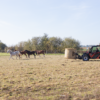 Manitou ULM 415 H – chariot télescopique   – en situation d'utilisation n°3