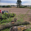 Manitou 2750V – chargeuse compacte   – en situation d'utilisation